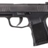 Sig Sauer P365 .380ACP 3.1" 10rd Pistol