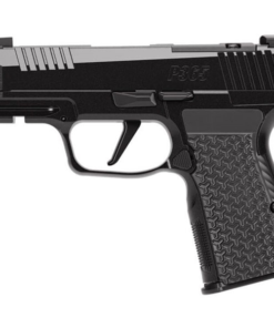 Sig Sauer P365 AXG Luxe .380ACP 3.1" 12rd Pistol