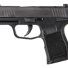 Sig Sauer P365 MS .380ACP 3.1" 10rd Pistol 1 335