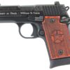 Sig Sauer P938 Texas Engraved Silver 9mm 3" 7rd Pistol 2 381 849